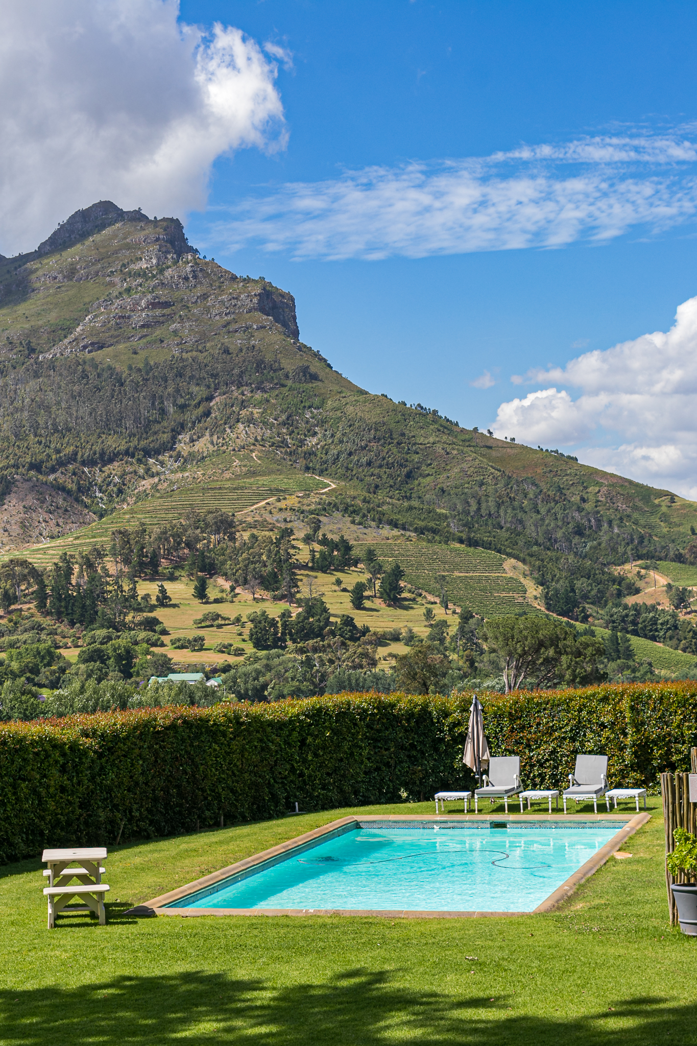 Le Pommier Wine Estate: Tranquility Off the Scenic Route