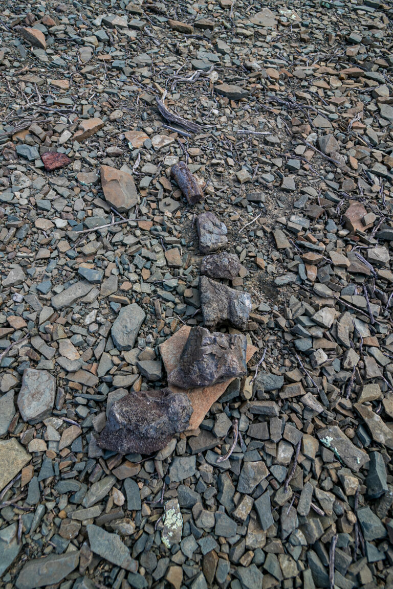 Dinosaur Bones and Sky Full of Stars at Rogge Cloof